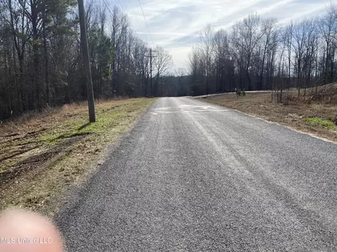 Longtown Road, Sarah, MS 38665 photo 9