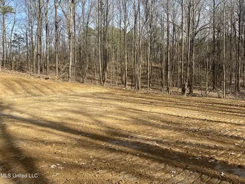 Longtown Road, Sarah, MS 38665 photo 3
