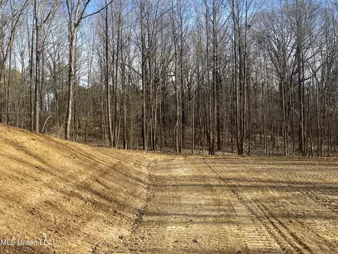 Longtown Road, Sarah, MS 38665 photo 5