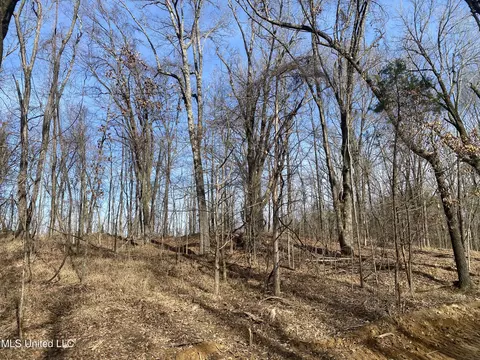 Longtown Road, Sarah, MS 38665 photo 7