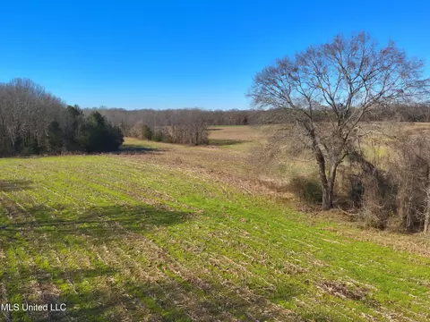 579 Black Jack Rd, Vaughan, MS 39179