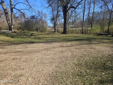 465 State Park Rd, Natchez, MS 39120 photo 13