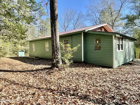 Exterior - 145 Eubanks Dr, Lucedale, MS 39452 photo 8 of 11