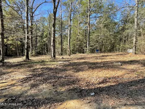 Exterior - 145 Eubanks Dr, Lucedale, MS 39452 photo 6 of 11