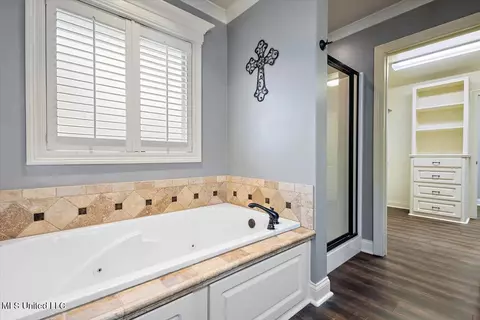 Bath - 529 Willow Valley Cir, Brandon, MS 39047 photo 1 of 2