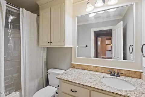 Bath - 529 Willow Valley Cir, Brandon, MS 39047 photo 2 of 2