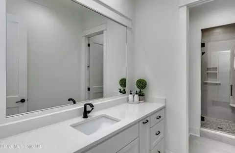 Bath - 624 Big Valley Loop, Flowood, MS 39232 photo 6 of 11