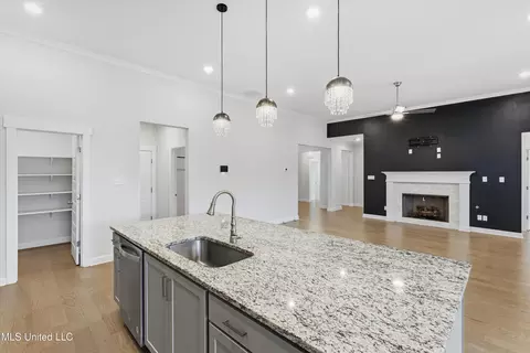 Kitchen - 372 Fawn Grove Trl, Hernando, MS 38632 photo 2 of 3