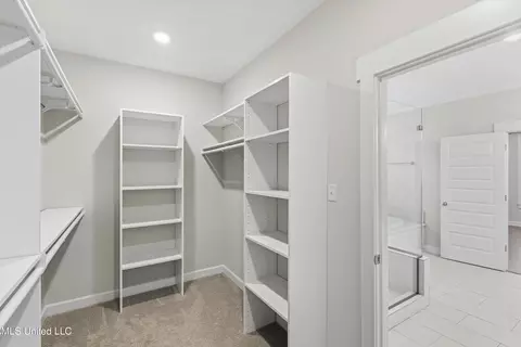 Other - 372 Fawn Grove Trl, Hernando, MS 38632 photo 6 of 11