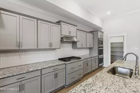 Kitchen - 372 Fawn Grove Trl, Hernando, MS 38632 photo 3 of 3