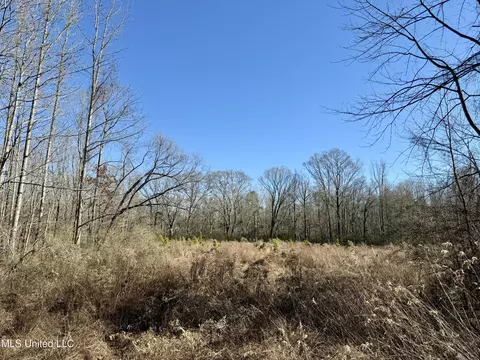 Highway 12, Sallis, MS 39160 photo 12