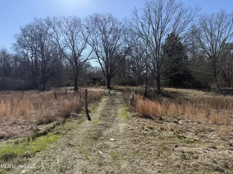 Highway 12, Sallis, MS 39160 photo 4