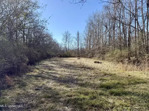 Highway 12, Sallis, MS 39160 photo 5