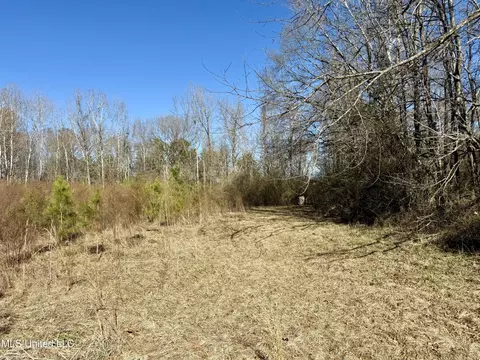 Highway 12, Sallis, MS 39160 photo 13