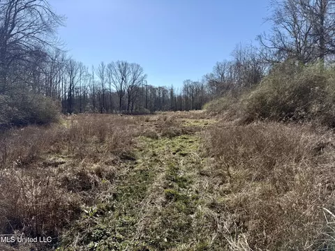 Highway 12, Sallis, MS 39160 photo 19