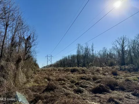 Highway 12, Sallis, MS 39160 photo 11