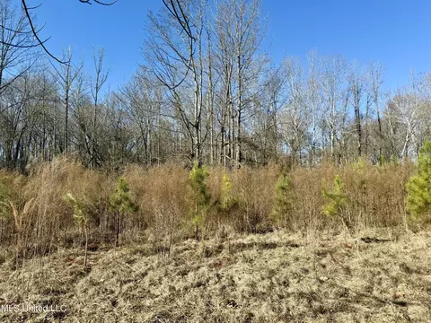 Highway 12, Sallis, MS 39160 photo 17