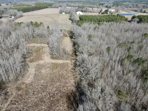 Highway 12, Sallis, MS 39160 photo 22