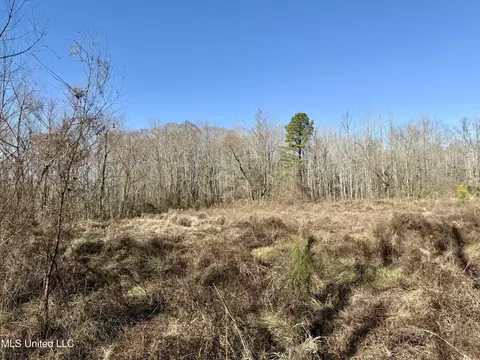 Highway 12, Sallis, MS 39160 photo 10