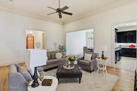 Living - 134 Hampton Chase, Madison, MS 39110 photo 3 of 5
