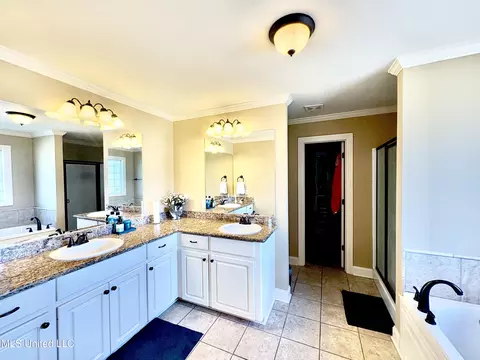 Bath - 104 Northwind Dr, Madison, MS 39110 photo 1 of 4