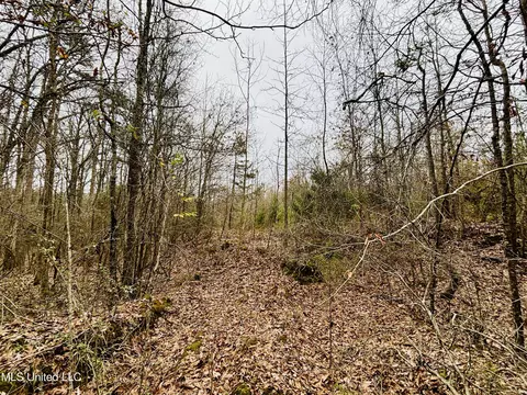 01 S Frontage Rd, Winona, MS 38967 photo 8