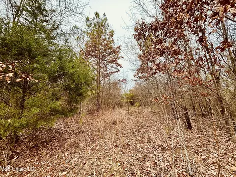 01 S Frontage Rd, Winona, MS 38967 photo 6