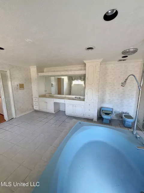 Bath - 980 Royal Oak Dr, Jackson, MS 39209 photo 5 of 5