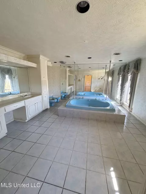 Bath - 980 Royal Oak Dr, Jackson, MS 39209 photo 3 of 5