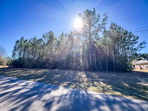 Dill Road, Saucier, MS 39574 photo 3