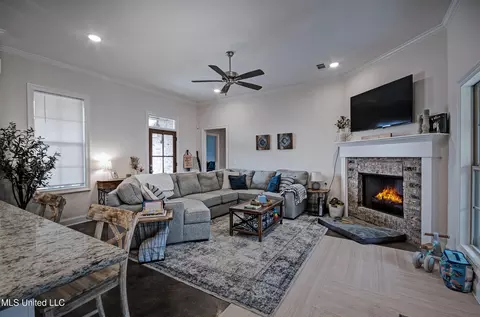 Living - 247 Hemingway Cir, Canton, MS 39046 photo 1 of 1