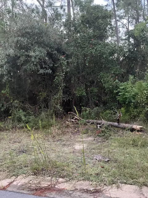 0 Greenwood Dr, Pass Christian, MS 39571