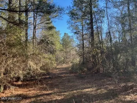 1059 Candy Ln, Mccomb, MS 39648