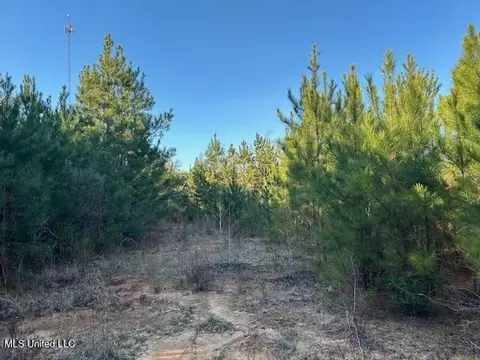 7153 Us 98, Mccomb, MS 39648 photo 9