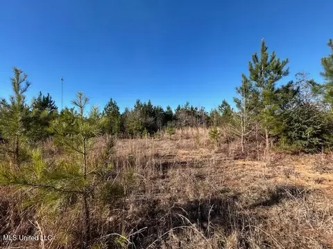 7153 Us 98, Mccomb, MS 39648 photo 5