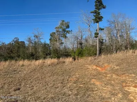 7153 Us 98, Mccomb, MS 39648 photo 2
