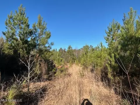 7153 Us 98, Mccomb, MS 39648 photo 12