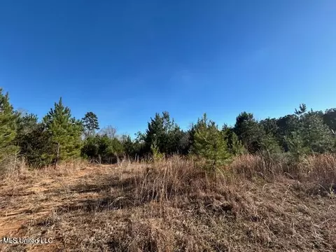7153 Us 98, Mccomb, MS 39648 photo 18