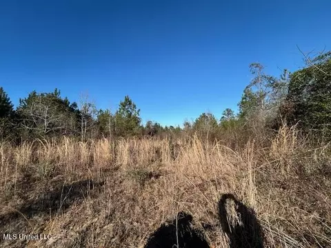 7153 Us 98, Mccomb, MS 39648 photo 6