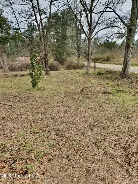 6042 Enterprise Rd, Summit, MS 39666 photo 13