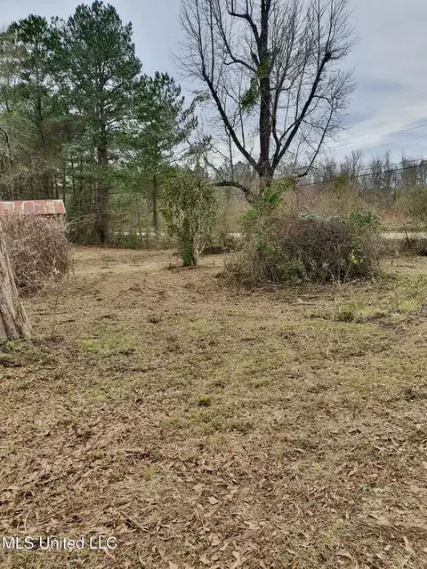 6042 Enterprise Rd, Summit, MS 39666 photo 4