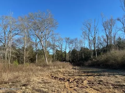 8127 Magnolia Holmesville Rd, Mccomb, MS 39648