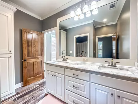 Bath - 154 Saddle Ridge Dr, Florence, MS 39073 photo 5 of 5