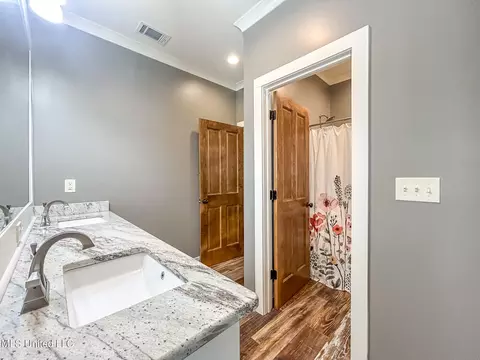 Bath - 154 Saddle Ridge Dr, Florence, MS 39073 photo 4 of 5