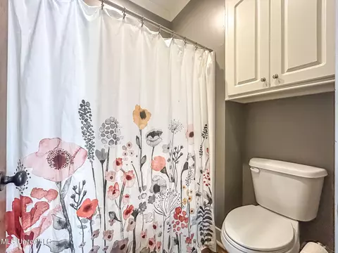Bath - 154 Saddle Ridge Dr, Florence, MS 39073 photo 3 of 5