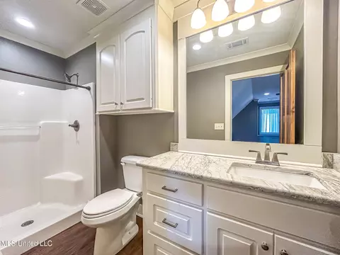 Bath - 154 Saddle Ridge Dr, Florence, MS 39073 photo 1 of 5