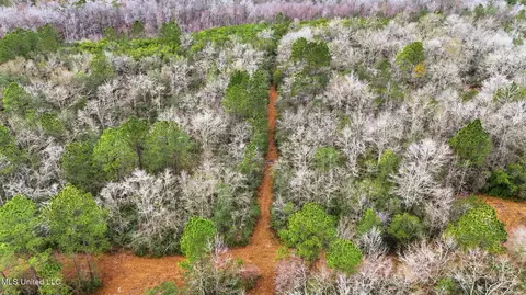 Saracennia Road, Moss Point, MS 39562 photo 18
