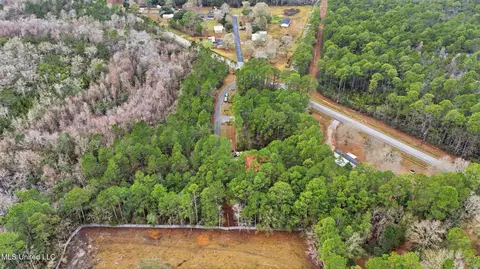 Saracennia Road, Moss Point, MS 39562 photo 10