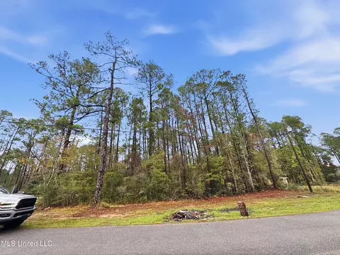 Saracennia Road, Moss Point, MS 39562 photo 35