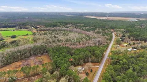 Saracennia Road, Moss Point, MS 39562 photo 11